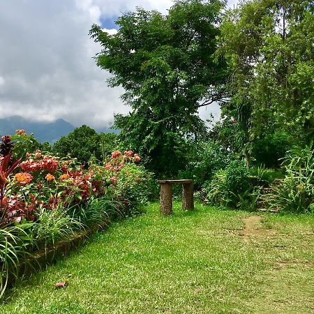 Hidden Paradise Guest House Pokhara Exterior photo