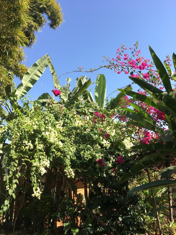 Hidden Paradise Guest House Pokhara Exterior photo