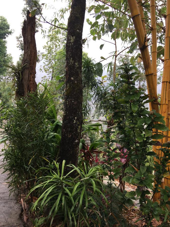 Hidden Paradise Guest House Pokhara Exterior photo