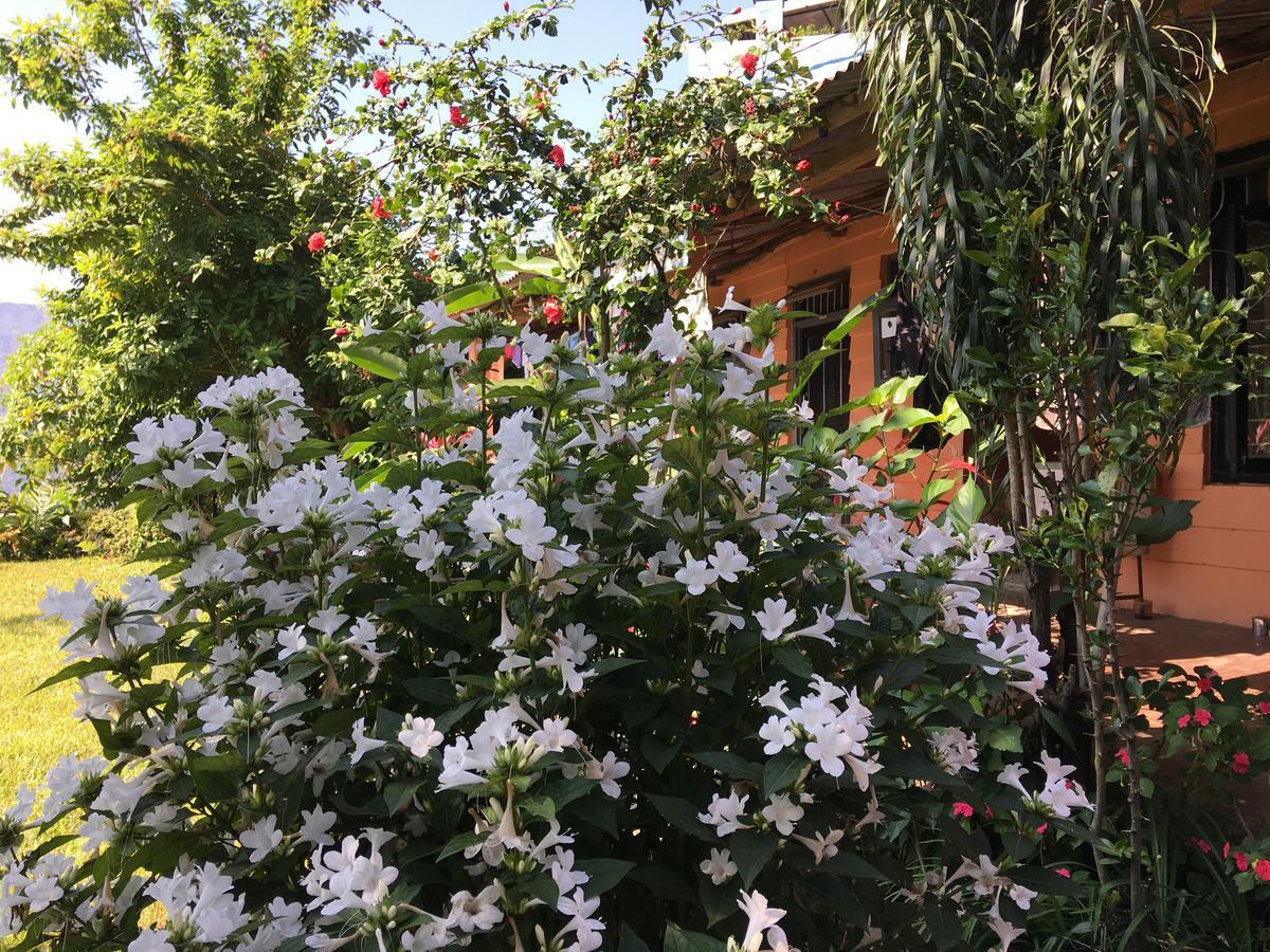 Hidden Paradise Guest House Pokhara Exterior photo