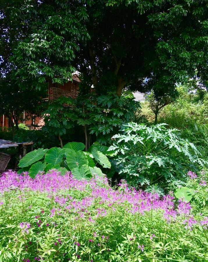 Hidden Paradise Guest House Pokhara Exterior photo